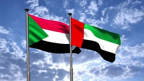 الإمارات تخصص 15 مليون دولار لدعم السودان
